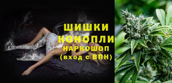соль ск Пролетарск