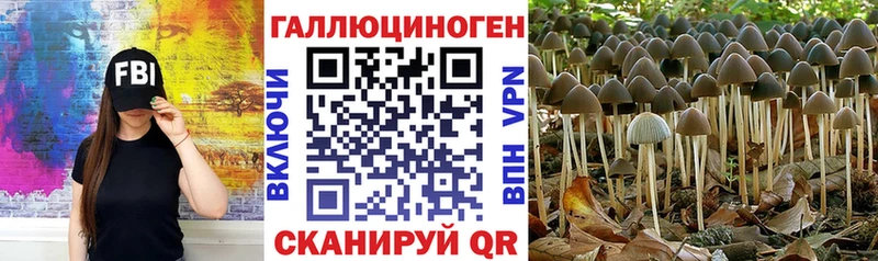 где купить наркотик  Мосальск  Галлюциногенные грибы Cubensis 